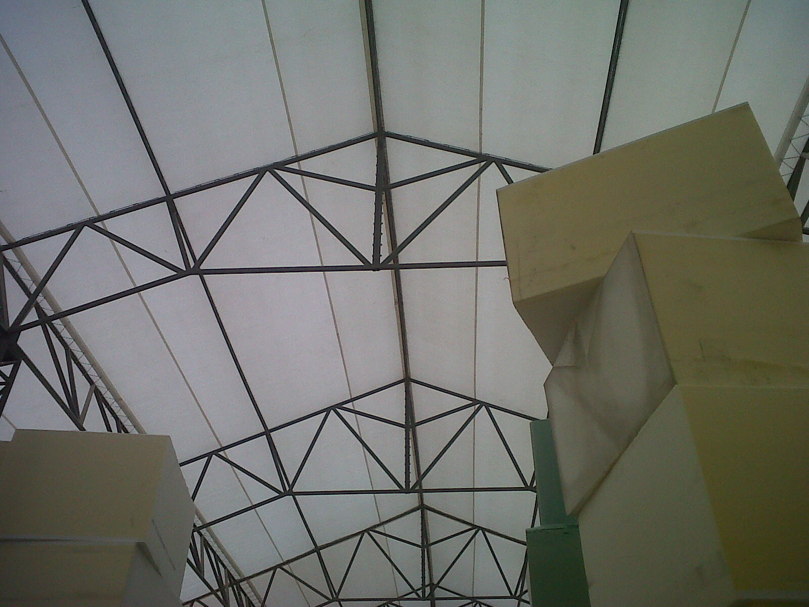 IMG00117 20111120 1319